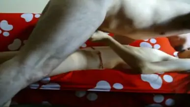 Gaya Bookingan ABG Bispak Main Di Kamar Executive